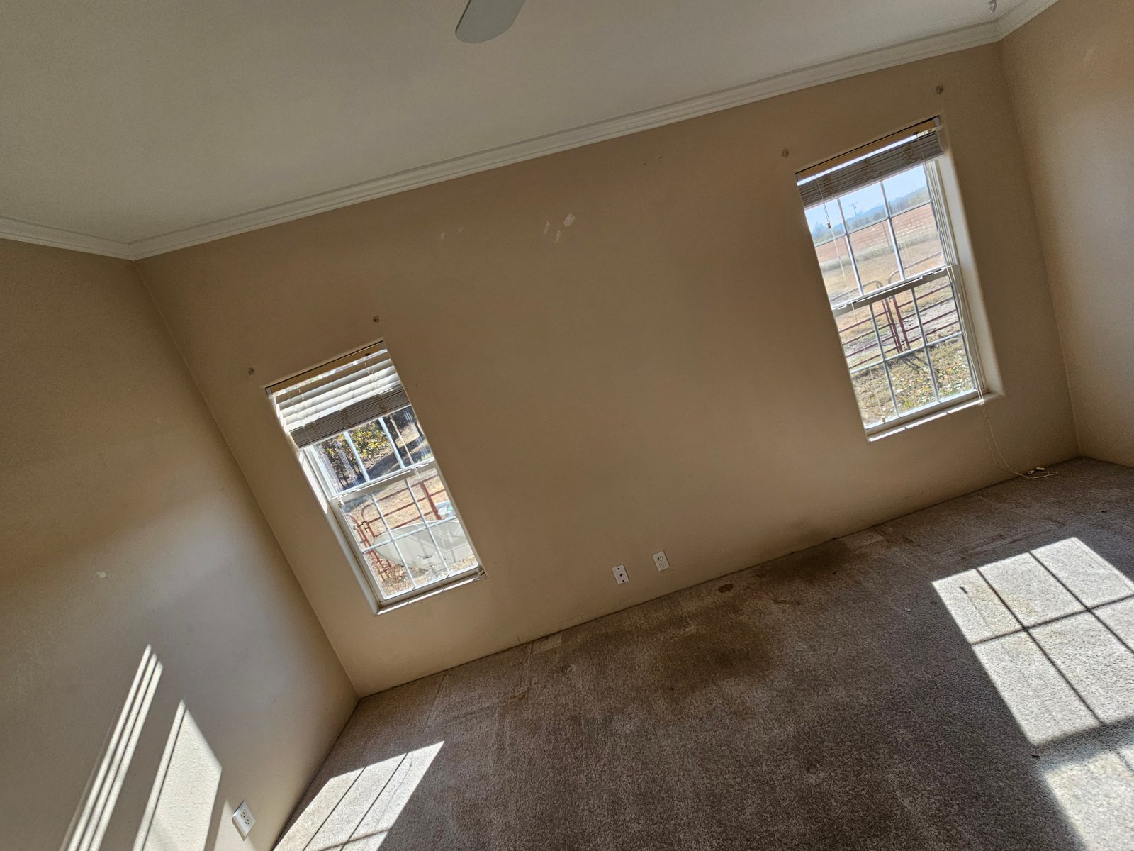 Interior painting project gallery - Project 136 - Image 20